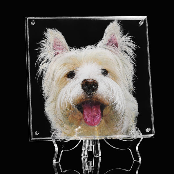 3D Glass White Dog Portrait